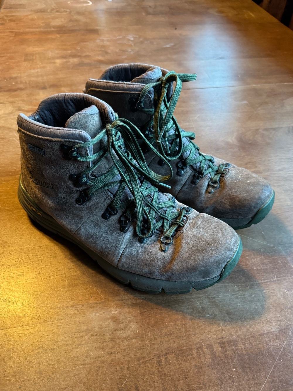 Danner Mountain 600 Boots